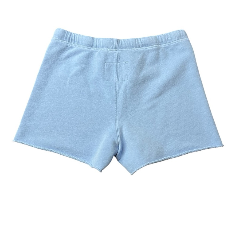 Frank & Eileen Sky Blue Athletic Shorts Size Large